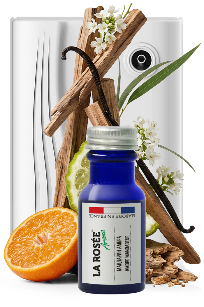 Ambre Mandarine