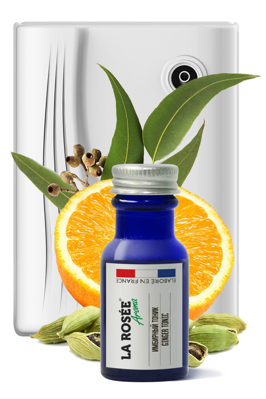 Tonique au Gingembre